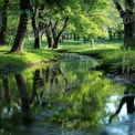 Tranquil Forest Stream: Serene Nature Reflection in Lush Green Landscape