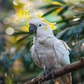 Stunning White Cockatoo with Vibrant Yellow Crest in Lush Greenery