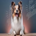 Happy Shetland Sheepdog Portrait with Vibrant Background