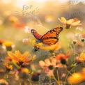 Enchanting Monarch Butterfly on Vibrant Wildflowers in Soft Sunrise Glow