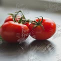 Fresh Organic Tomatoes on Wooden Surface - Healthy Eating and Culinary Ingredients