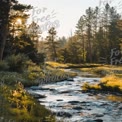 Riacho Tranquilo em Floresta Luxuriante ao Amanhecer - Serenidade da Natureza e Beleza Cênica