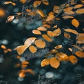 Autumn Leaves with Raindrops: Nature's Vibrant Colors and Textures