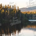 Tranquil Lake Reflections: Serene Forest Landscape at Sunset