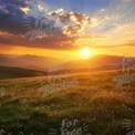 Stunning Sunset Over Mountain Landscape with Vibrant Sky and Wildflowers