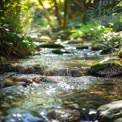 Hierba de pradera con enfoque suave y fondo bokeh - Serenidad natural