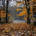 Autumn Serenity: Tranquil Pathway Through Golden Leaves by the Water