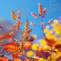 Vibrant Autumn Foliage and Flowers Against a Clear Blue Sky