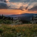 Stunning Sunset Over Mountain Landscape with Wildflowers and Rays of Light