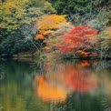 Autumn Serenity: Vibrant Fall Foliage Reflected in Tranquil Lake