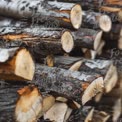 Stacked Firewood Logs for Cozy Winter Fires and Rustic Decor