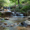 Ruhender Wasserfall im üppigen grünen Wald - Serene Naturlandschaft