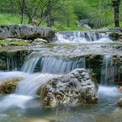 Tranquil Mountain Stream with Cascading Waterfalls in Lush Green Forest