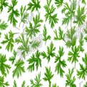 Fresh Cilantro Leaves Pattern on White Background - Culinary Herbs Design