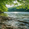 Tranquil Lake Scene with Sunlight and Lush Greenery