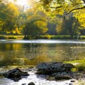 Tranquil Autumn Reflections: Serene Lake with Golden Foliage and Sunlight