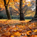 Autumn Serenity: Golden Leaves and Tranquil Forest Path