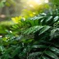 Fresh Green Leaves with Raindrops and Sunlight - Nature Background