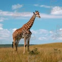 Majestic Giraffe in Serene Savanna Landscape