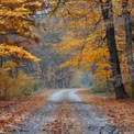 Serene Autumn Pathway: Vibrant Fall Foliage and Tranquil Road