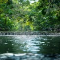 Tranquil Forest Stream with Lush Greenery and Gentle Waterfall