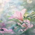 Delicate Pink Hibiscus Flower with Soft Bokeh Background - Nature's Beauty and Serenity