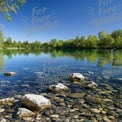 Ruhige Flusslandschaft mit klarem Wasser und üppigem Grün