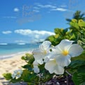 Tropical Paradise: White Hibiscus Flowers on a Sandy Beach with Clear Blue Ocean