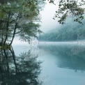 Tranquil Misty Lake Reflections: Serene Nature Landscape