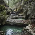 Tranquil Forest Stream with Mossy Rocks and Clear Water Pools