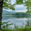 Tranquil Lake Landscape with Lush Greenery and Reflections