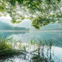 Tranquil Lake Reflection with Lush Greenery and Soft Morning Light