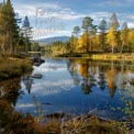 Tranquil Autumn Lake Reflection in a Scenic Forest Landscape