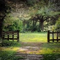 Tranquil Garden Pathway: Serene Nature Retreat with Wooden Gates