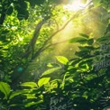 Sunlight Filtering Through Lush Green Foliage in a Serene Forest