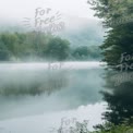 Tranquil Misty Lake Surrounded by Lush Green Forests