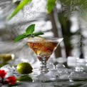 Refreshing Tropical Cocktail with Mint and Citrus Garnish on Ice