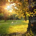 Golden Hour Serenity: Sunlight Filtering Through Lush Green Leaves in a Tranquil Park