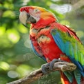 Vibrant Macaw Perched on Branch in Lush Greenery - Exotic Wildlife Photography