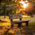 Serene Sunset Overpark Bench in Golden Light