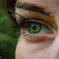 Close-Up of Captivating Green Eye with Nature Reflection