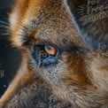 Close-Up of a Dog's Eye: Captivating Animal Portrait for Pet Lovers