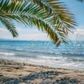 Tranquil Beach Scene with Palm Leaves and Sparkling Ocean Waves