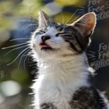 Playful Cat Enjoying the Sunlight: Adorable Feline Portrait