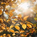 Golden Autumn Leaves with Sunlight Glare - Nature Background