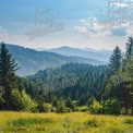 Serene Mountain Landscape with Lush Green Forest and Blue Sky