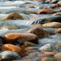 Tranquil River Stones: Nature's Serenity and Flowing Water