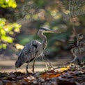 Majestic Heron in Natural Habitat: Serene Wildlife Photography