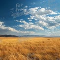 Golden Prairie Landscape Under Blue Sky with Fluffy Clouds