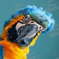 Vibrant Macaw Parrot Close-Up: Colorful Exotic Bird Portrait